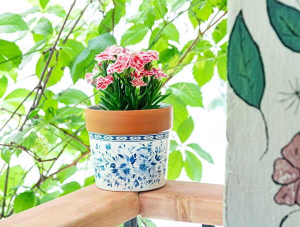 Darcia Flowerpot - 0