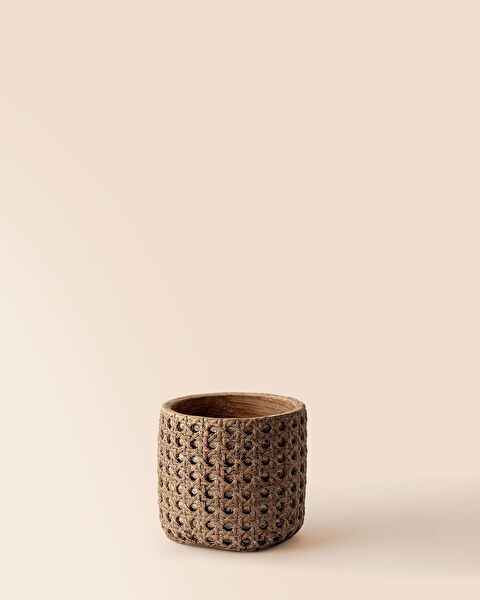 Pot de Fleur Liane 11cm - 4