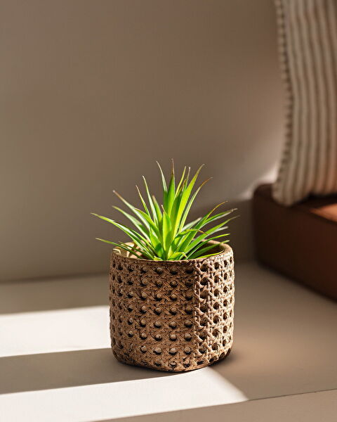 Pot de Fleur Liane 11cm - 1