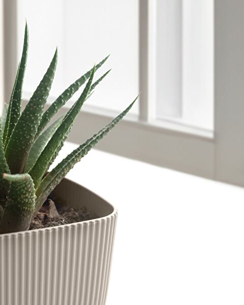 Abella Bloempot 270 ml - 2