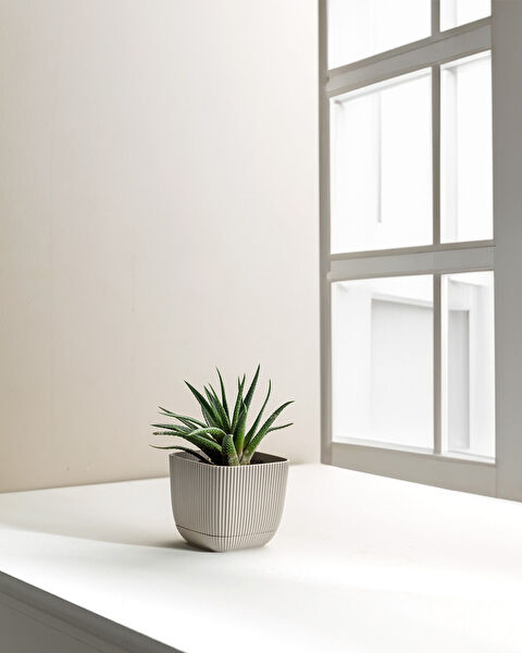 Abella Bloempot 270 ml - 1