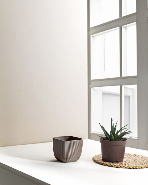 Abella Flower Pot 270 ml - 1