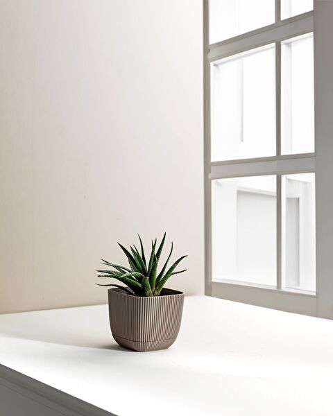 Abella Flower Pot 270 ml - 2