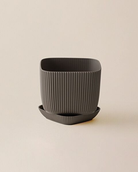 Abella Flower Pot 1800 ml - 6