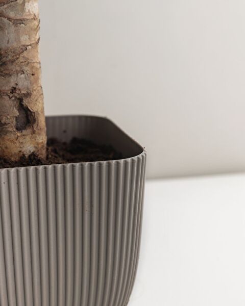 Abella Flower Pot 1800 ml - 2