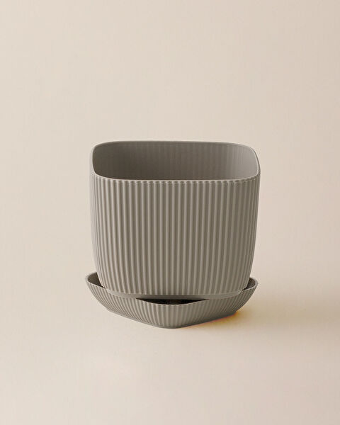 Abella Flower Pot 4000 ml - 6