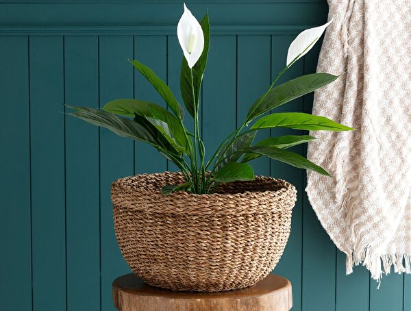 Brune Küçük Hasır Sepet - 0