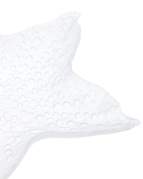 Astre Decorative Plate - Large Size - White - 6