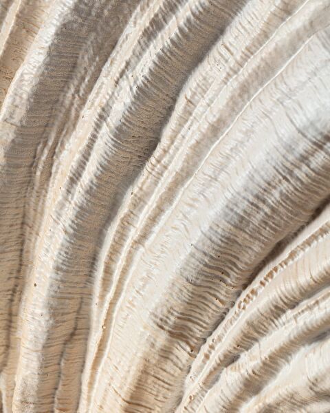 مزهرية ماريس - 4