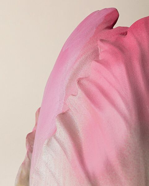 Camellia Vase - Colorful - 2