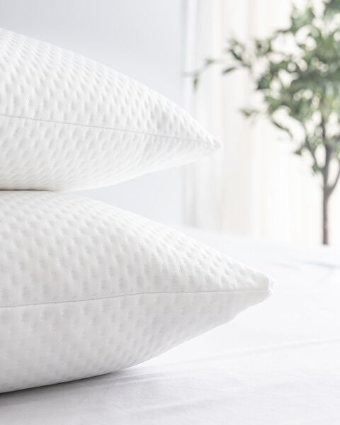 Elicia 2-pack Waterproof Pillow Protector - 2