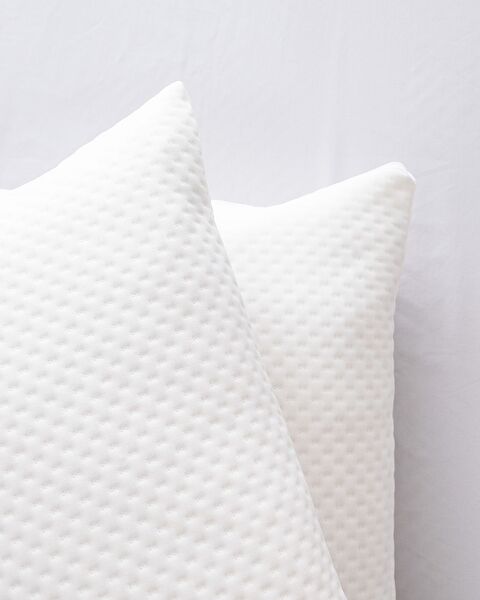 Elicia 2-pack Waterproof Pillow Protector - 3